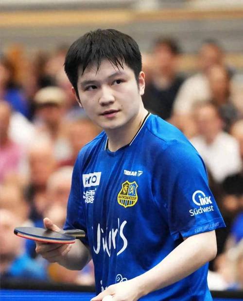 các loại rau cải